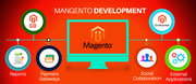 Tailored Solutions | Magento Development Company | Magento Development