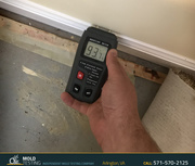 Mold Inspection & Testing in Arlington,  VA