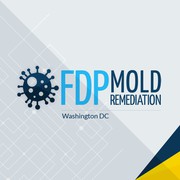 Mold Remediation Service in Washington,  DC